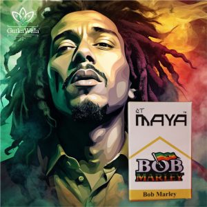 QTMaya Bob Marley